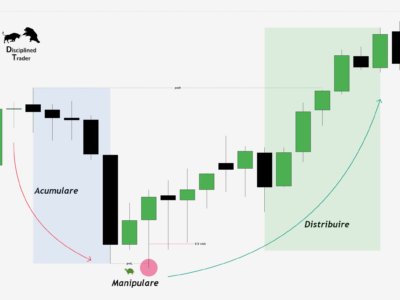 Modulul III – Performanta prin Disciplina